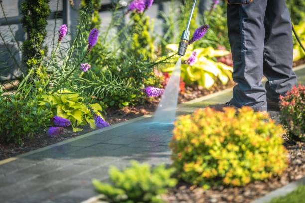 Best Restaurant Pressure Washing  in Anahuac, TX